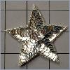 Sequin Star